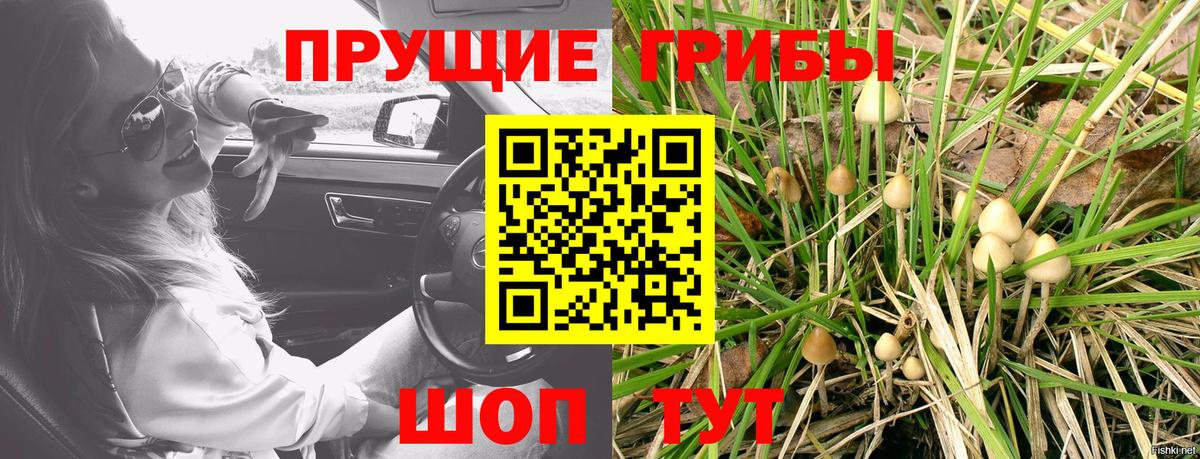 Галлюциногенные грибы Psilocybine cubensis  купить   Энгельс  Вход с VPN 