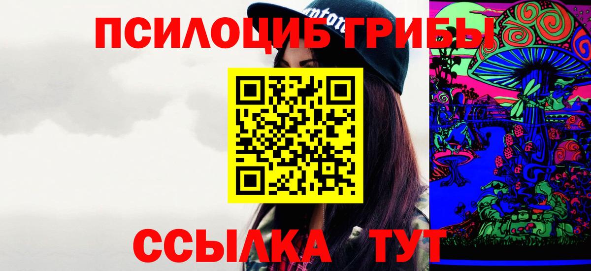 Псилоцибиновые грибы Psilocybe Энгельс